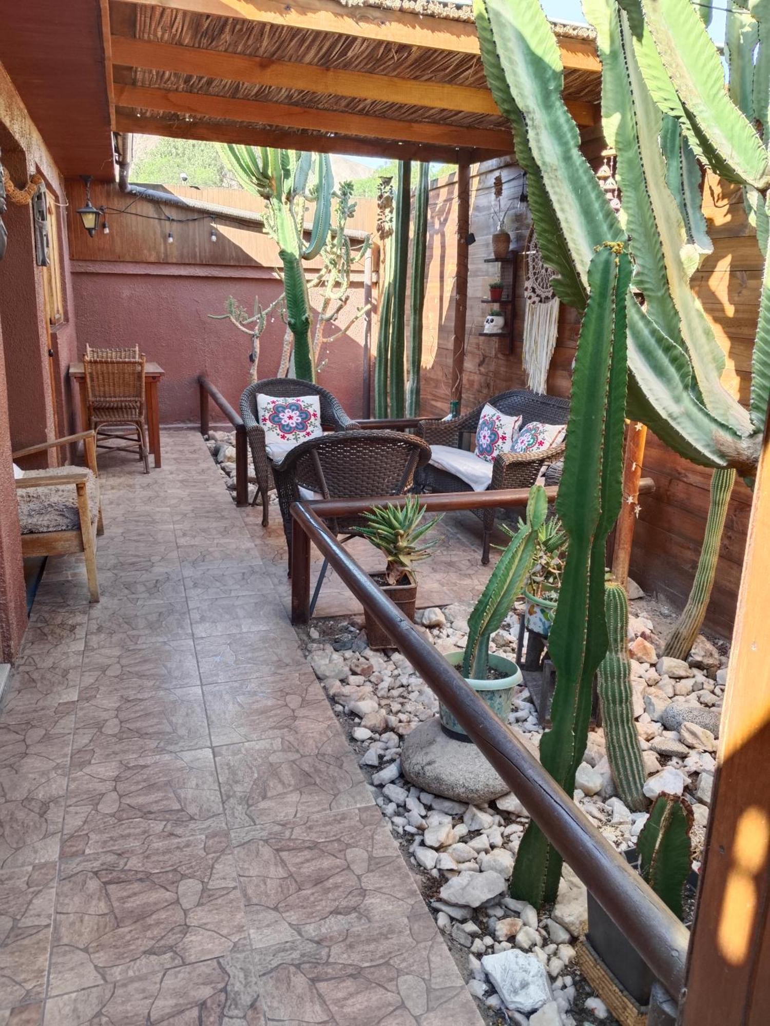 Hostal Cactus Copiapó Extérieur photo