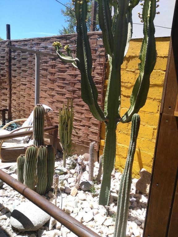 Hostal Cactus Copiapó Extérieur photo