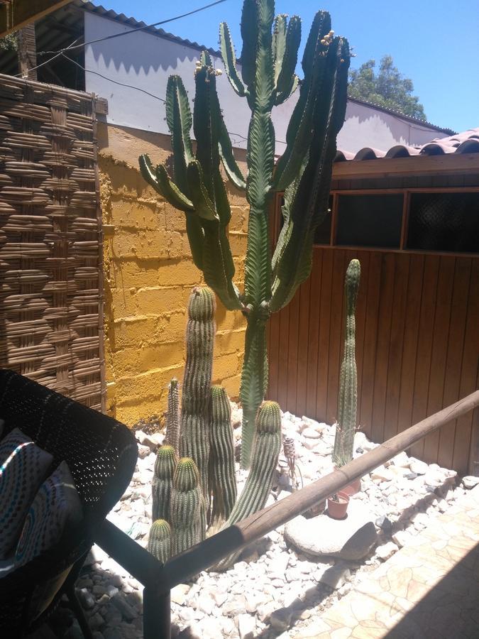 Hostal Cactus Copiapó Extérieur photo